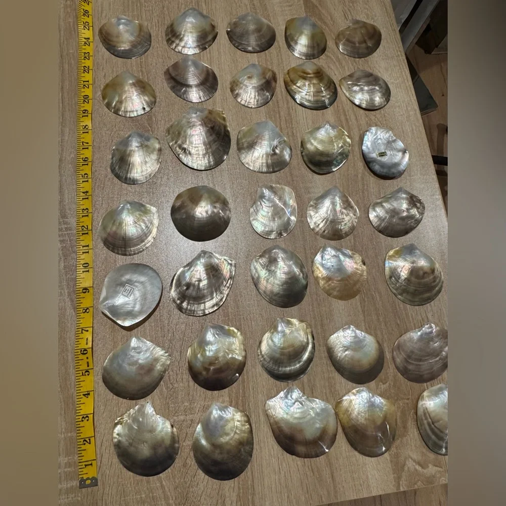 Mother of Pearl Shells- 35 pieces - Picture 2 of 6
